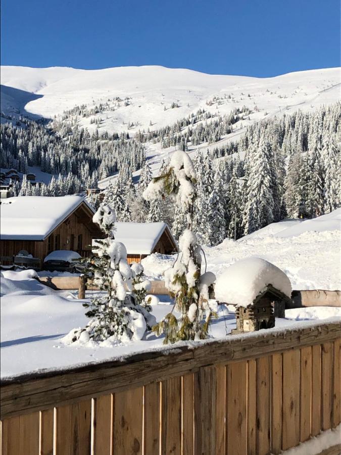Almhaus Chalet Lachtal Oberwoelz Stadt Bagian luar foto