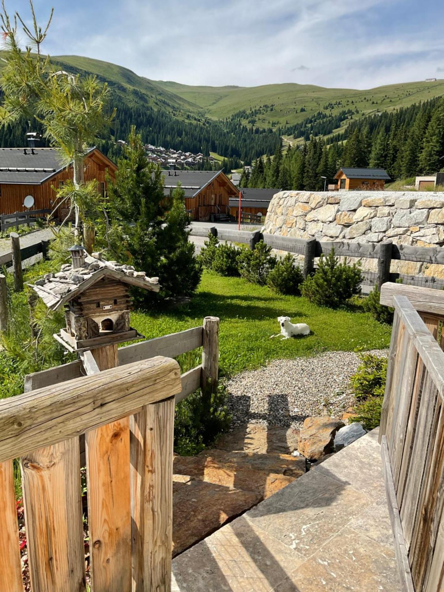 Almhaus Chalet Lachtal Oberwoelz Stadt Bagian luar foto
